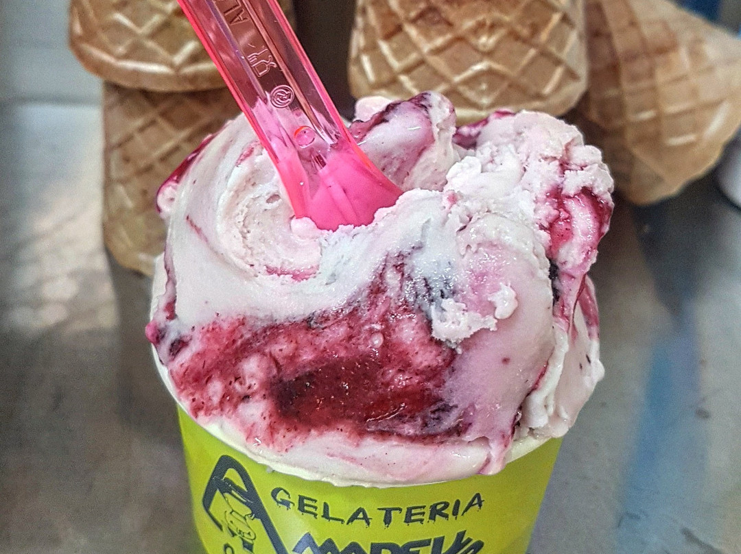 Campagnola Emilia餐馆和美食-Gelateria Amadeus