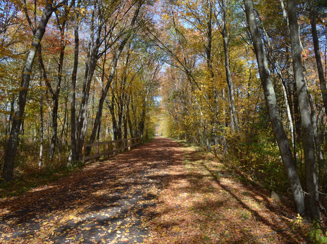 Upper Charles Bike Trail景点图片