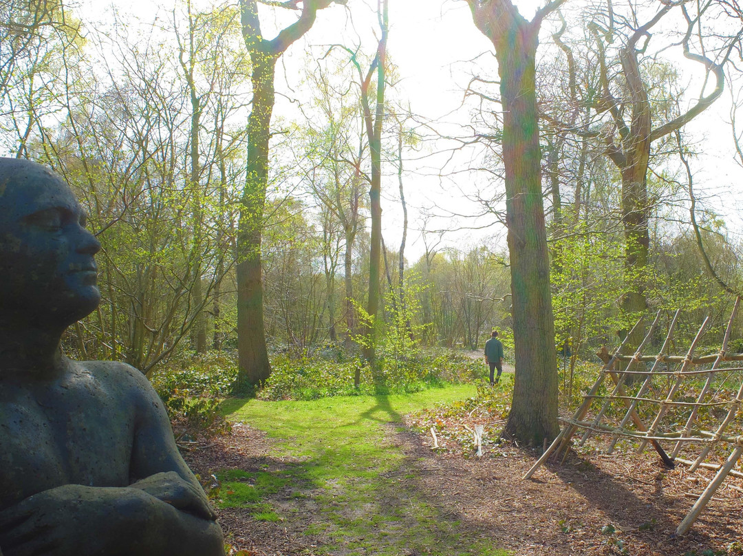 Norton Disney旅游攻略图片