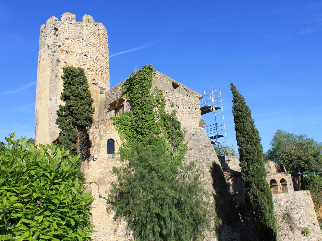 Castell de Ribes景点图片