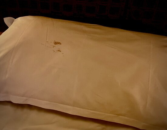 法兰克福机场喜来登酒店及会议中心主图