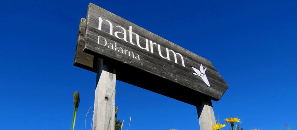 Naturum Dalarna景点图片