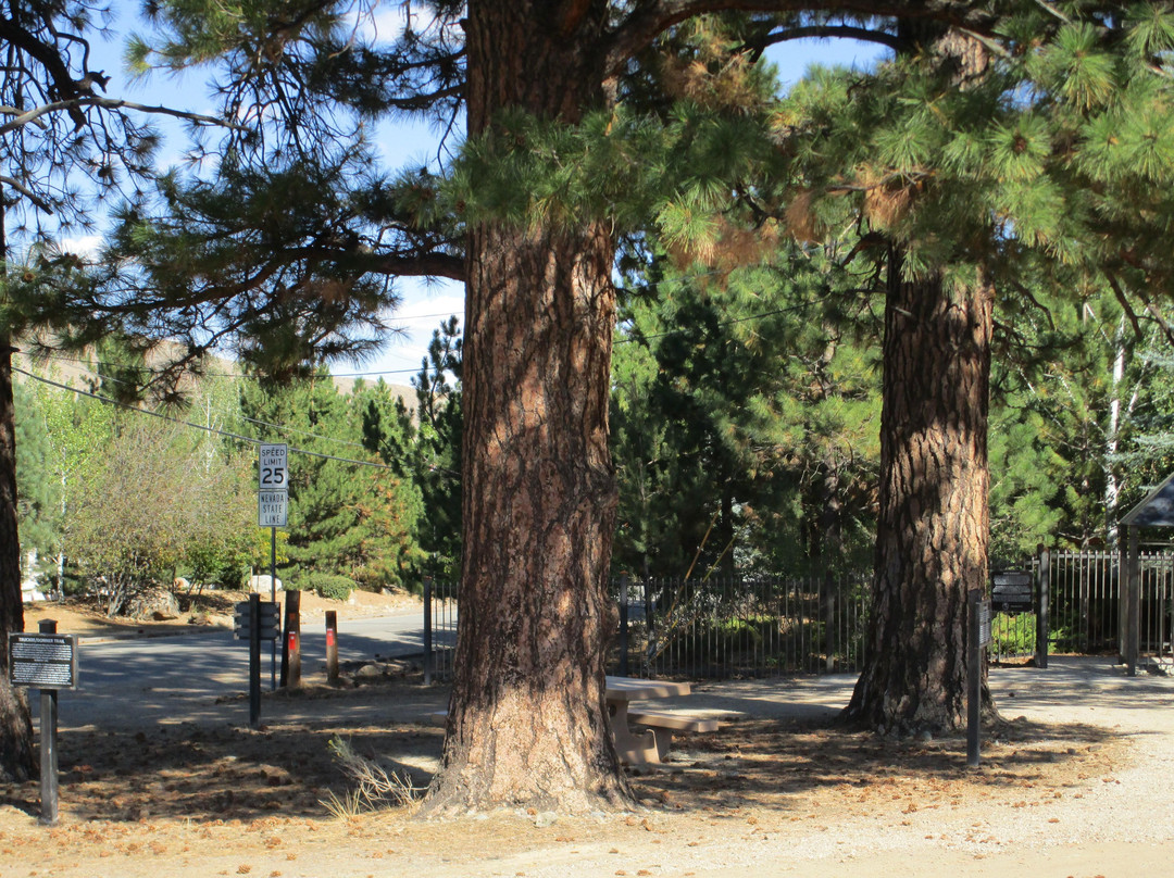 Von Schmidt Monument Historic Park景点图片