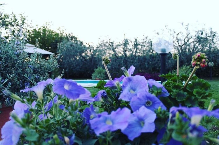 Santa Maria Apparente酒店住宿-Il Baiocco