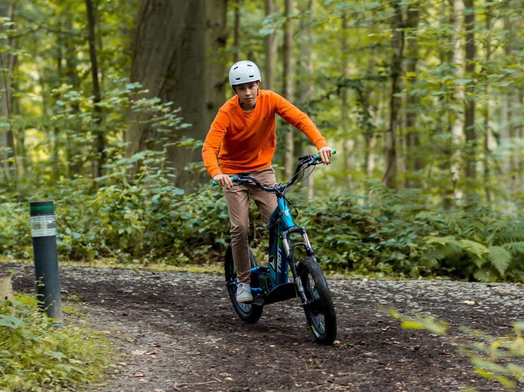 Trott'Top! - Balade en trottinettes électriques tout terrain dans la Forêt de Soignes景点图片