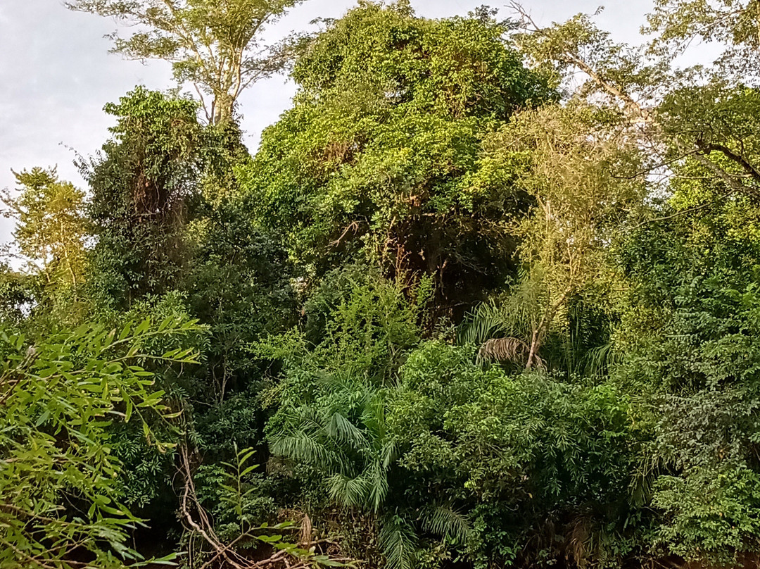 Guia Lopes da Laguna旅游攻略图片