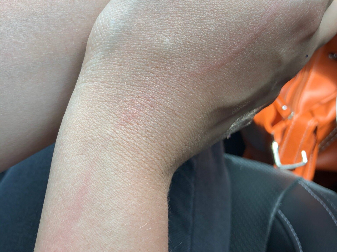 Foxground旅游攻略图片