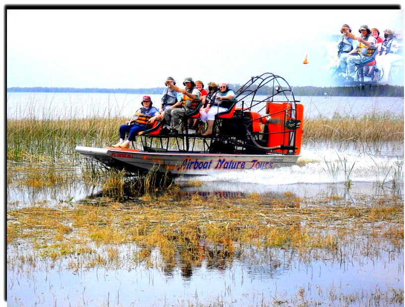 Alligator's Unlimited  Airboat Nature Tours-莱克威尔士必去景点