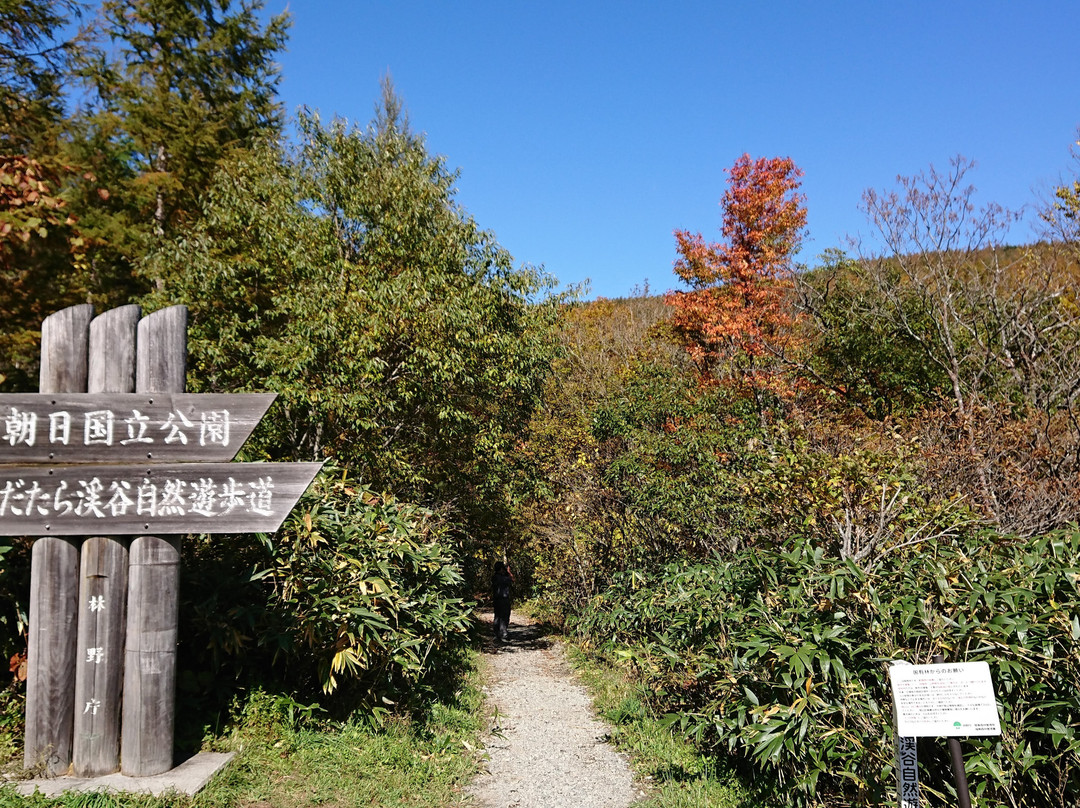 Adatara Valley Okudake Natural Trail景点图片