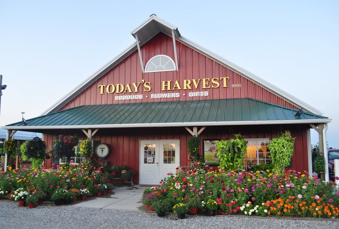 New Paris旅游景点-Today's Harvest