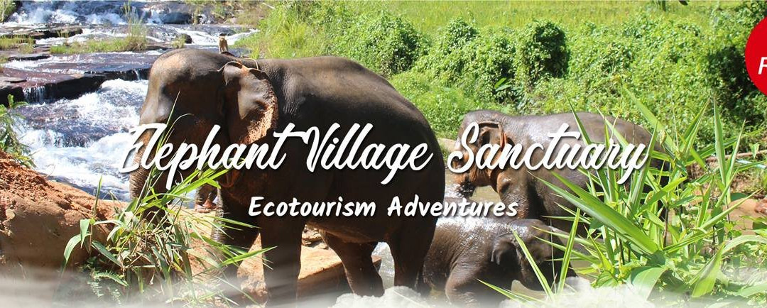 Elephant Village Sanctuary景点图片