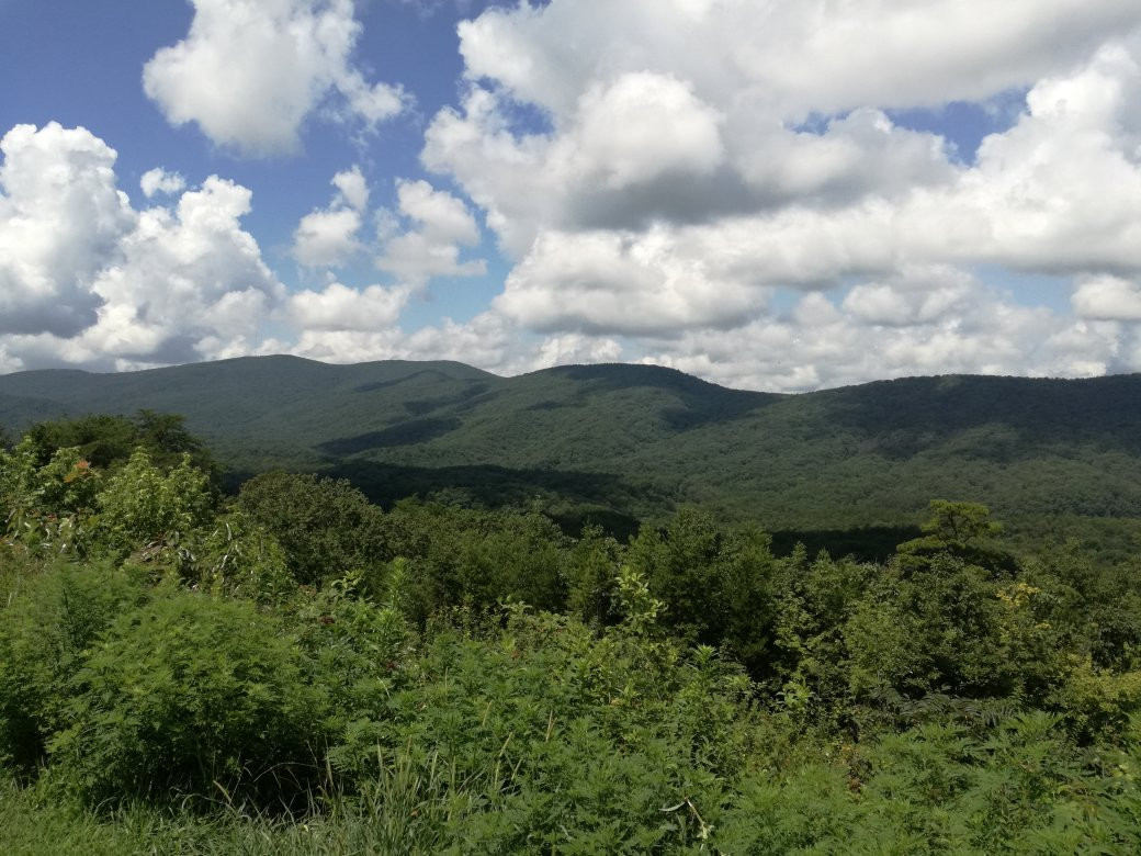 Talladega National Forest景点图片