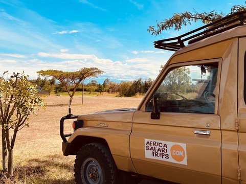 Africa Safari Trips-内罗毕必去景点