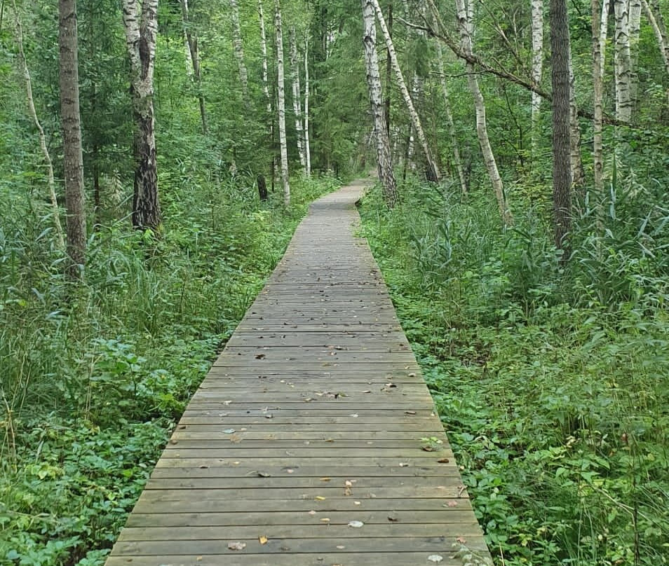 Jaundome Nature Trail