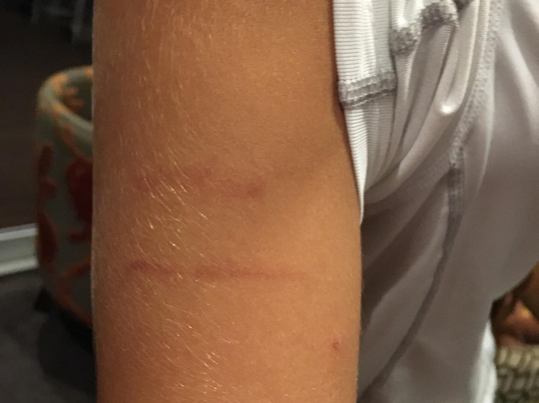 Aquatastic-巴瑟尔顿必去景点