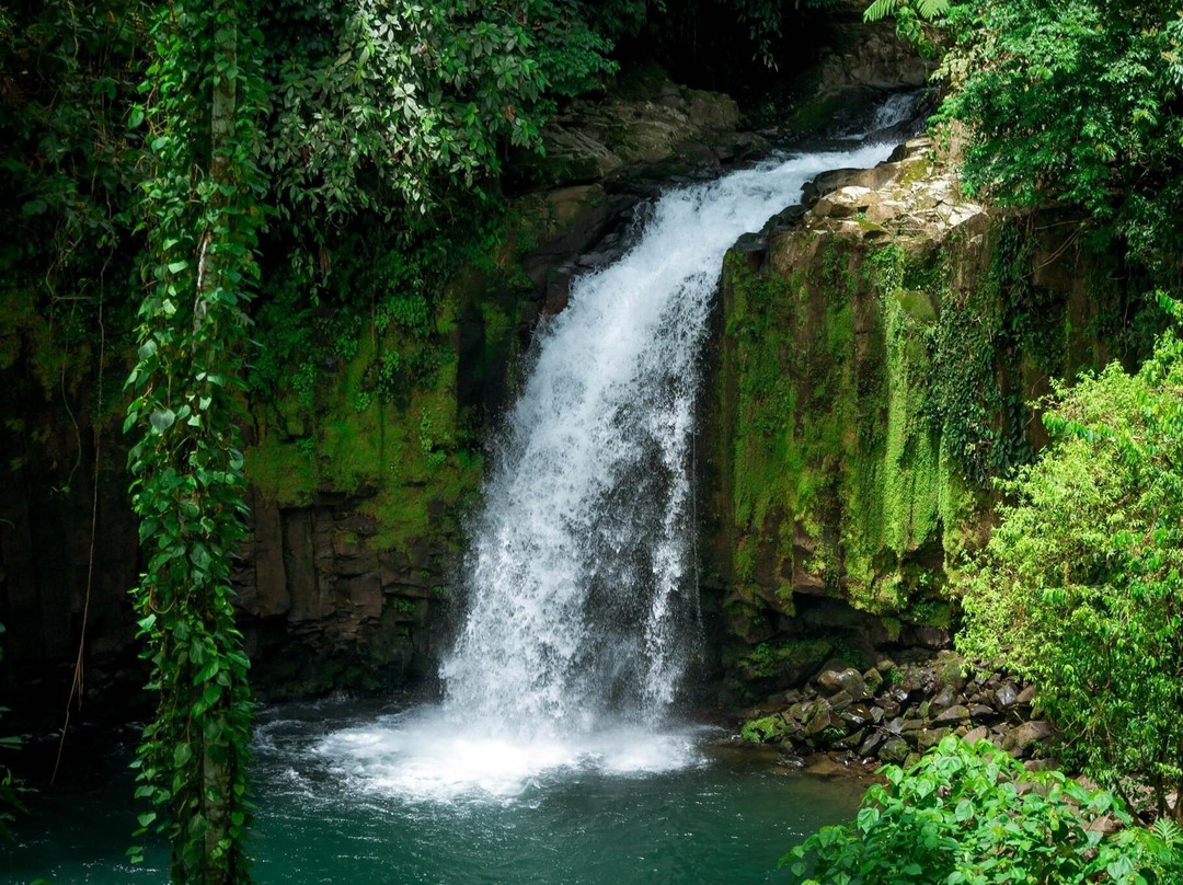 Figues Farm & Cataratas los Montes景点图片
