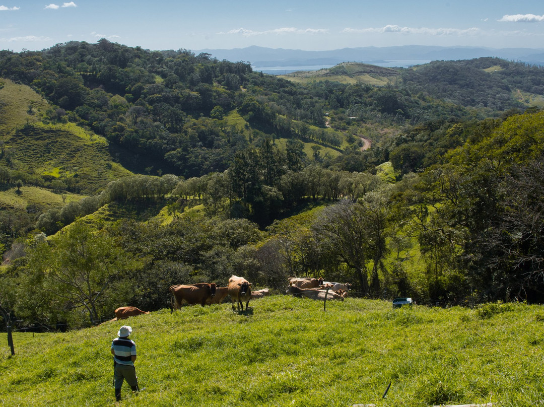 Finca El Paraiso CR - Cheese Farm Tour-Los Tornos必去景点
