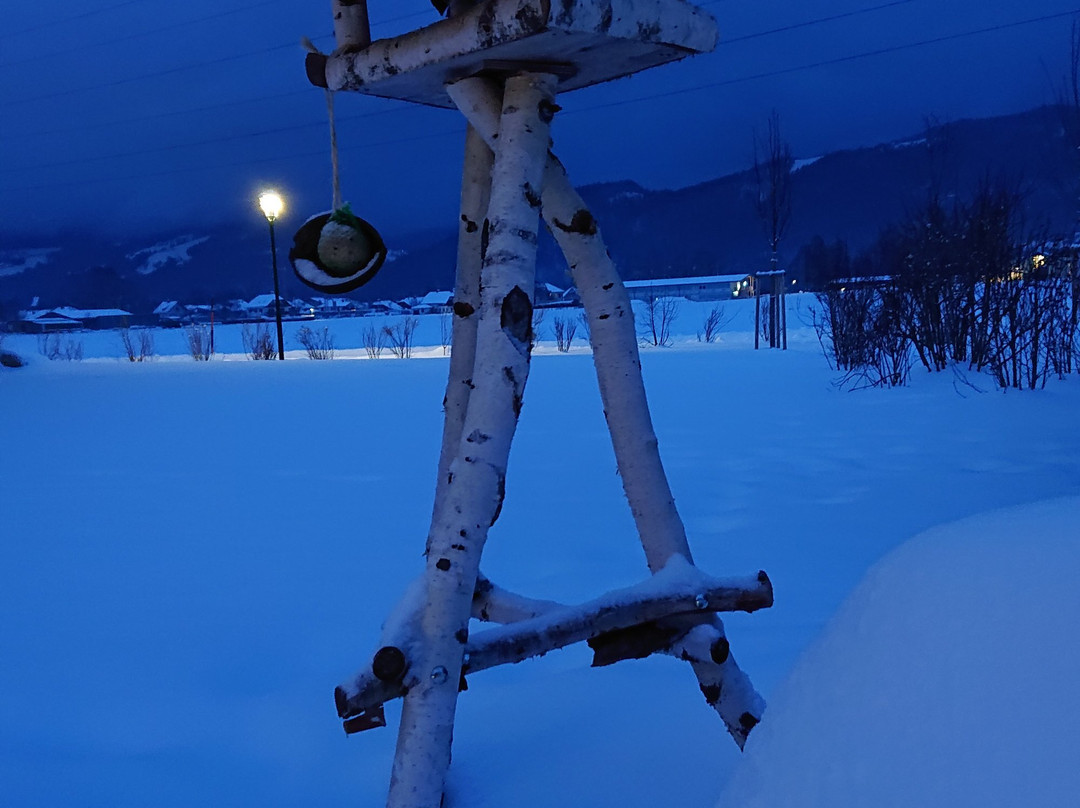 Boutique-Hotel am Essigmanngut主图