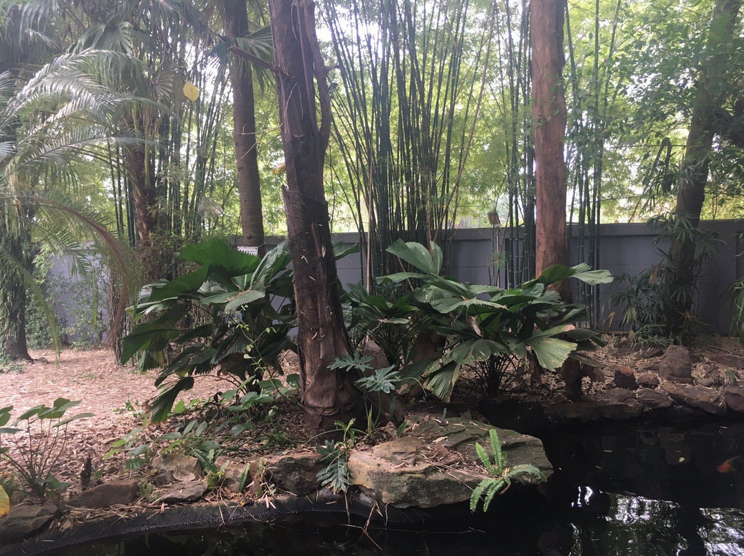 Wara Boutique Hotel主图