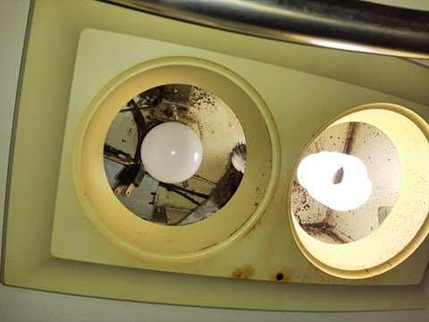 Econo Lodge Inn & Suites