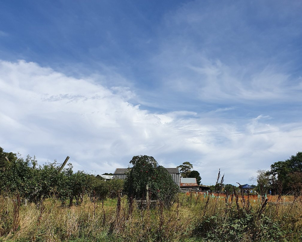 Petty's Orchard景点图片