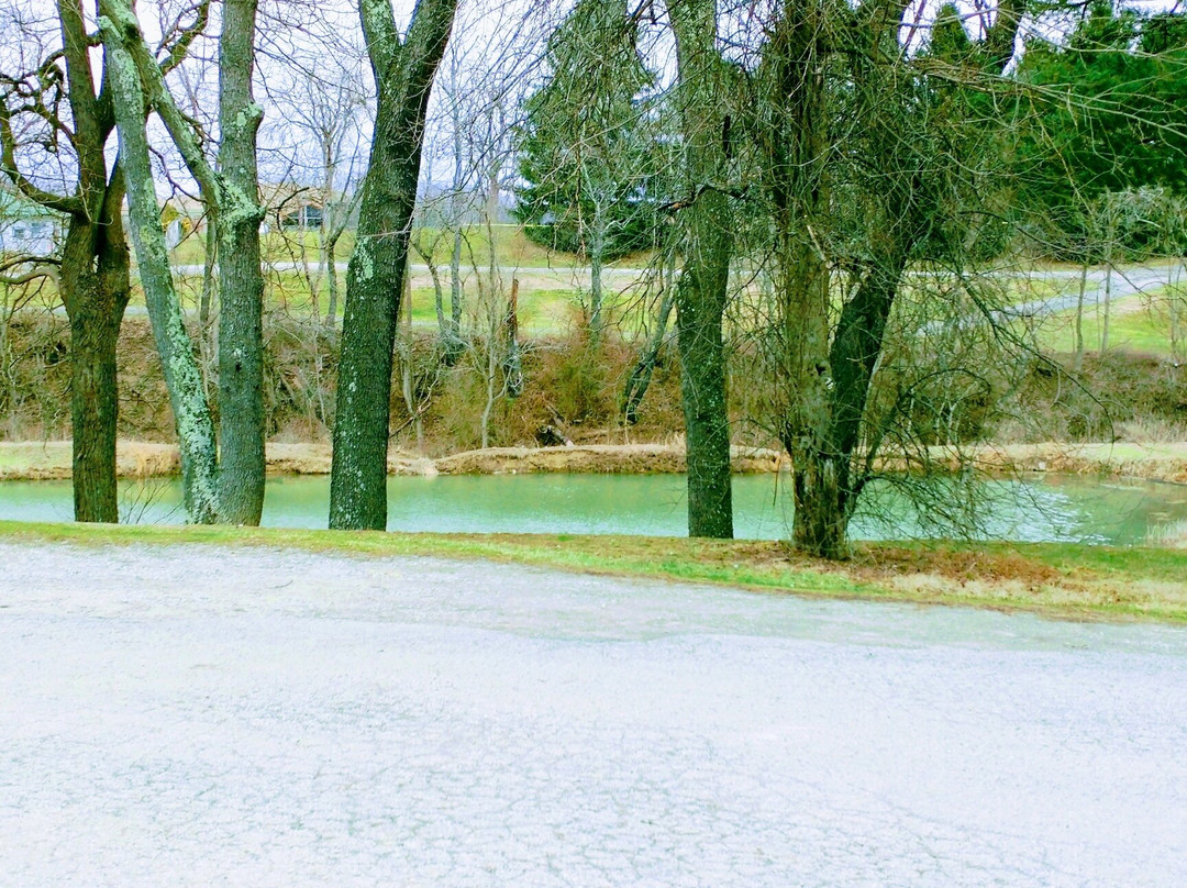 Crabapple Park & Pool-Herminie必去景点