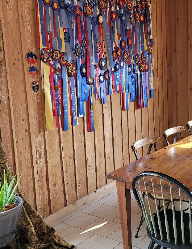 Broken Spoke Vineyard and Winery-Earleville必去景点