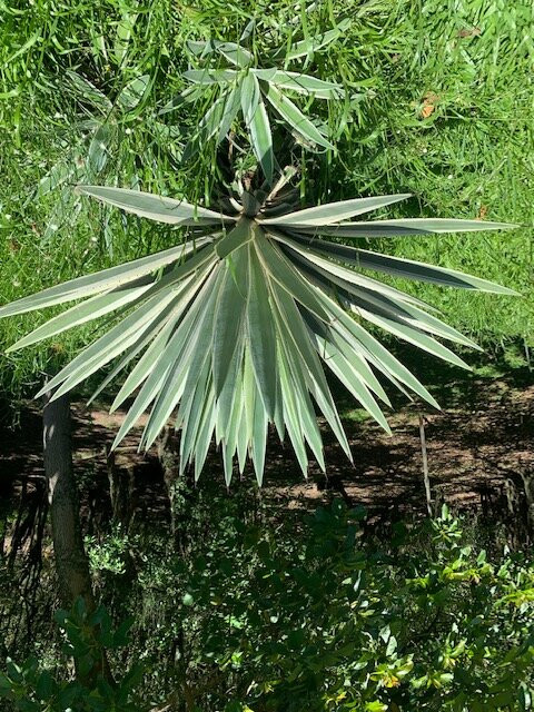 Parque Vinte De Maio-阿雷格里港必去景点