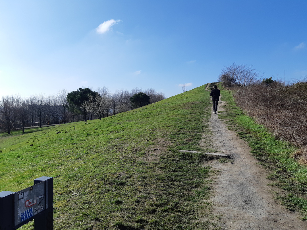 Parc Jean Moulin Les Guilands景点图片