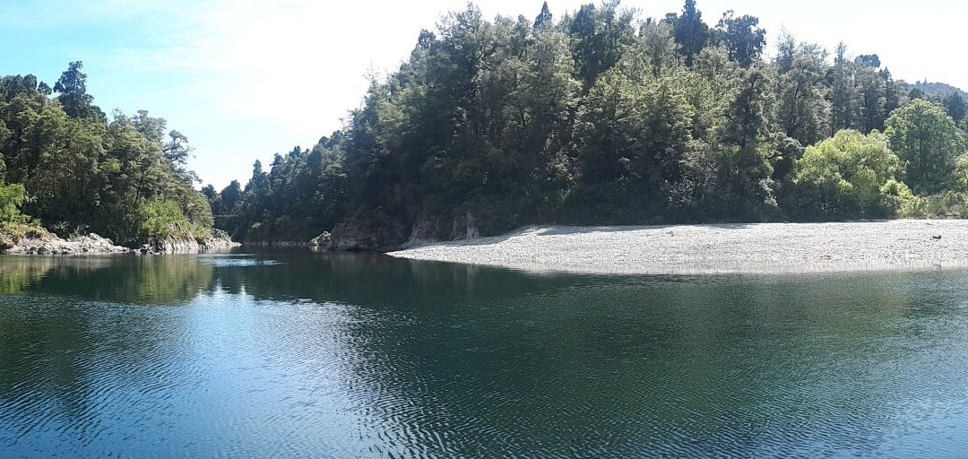 Pelorus Bridge Scenic Reserve景点图片