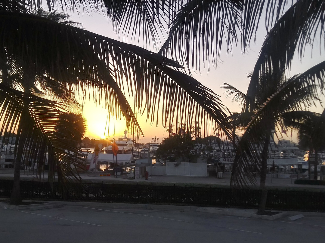 International Swimming Hall of Fame-劳德代尔堡必去景点