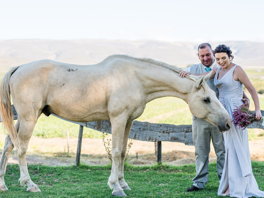 Nerina Guest Farm-Robertson必去景点