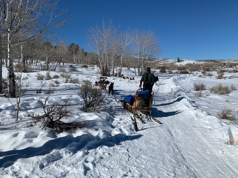 Mountain Musher-Bond必去景点