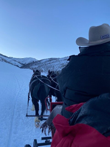 Park City Sleigh Rides-帕克城必去景点