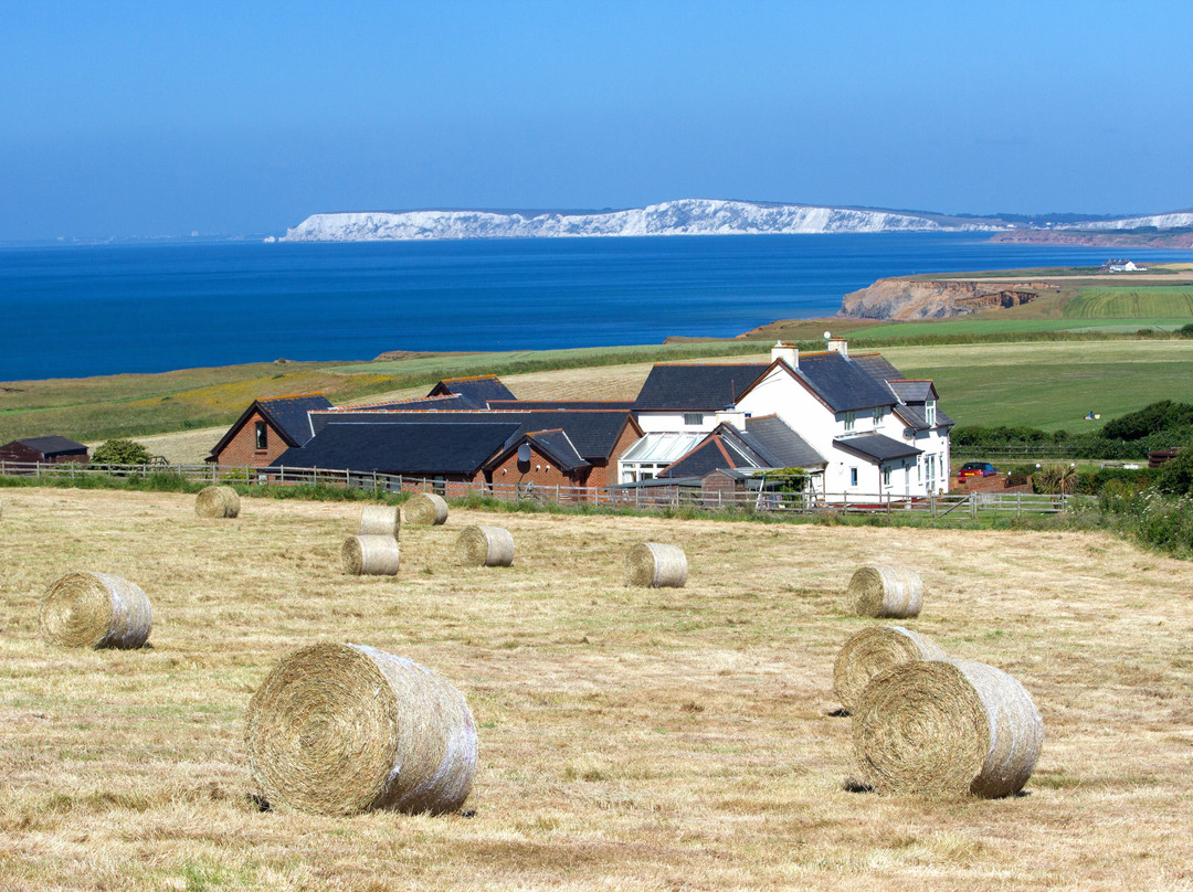 Chale Bay Farm