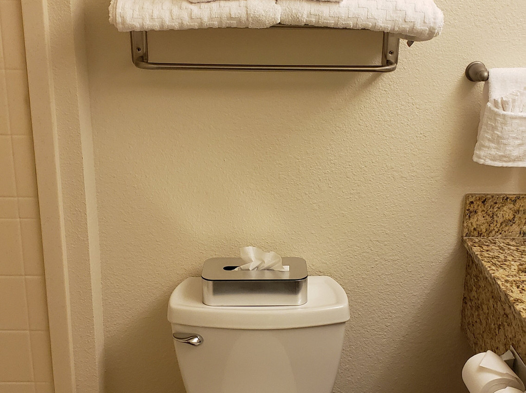 Best Western Plus Castle Rock主图