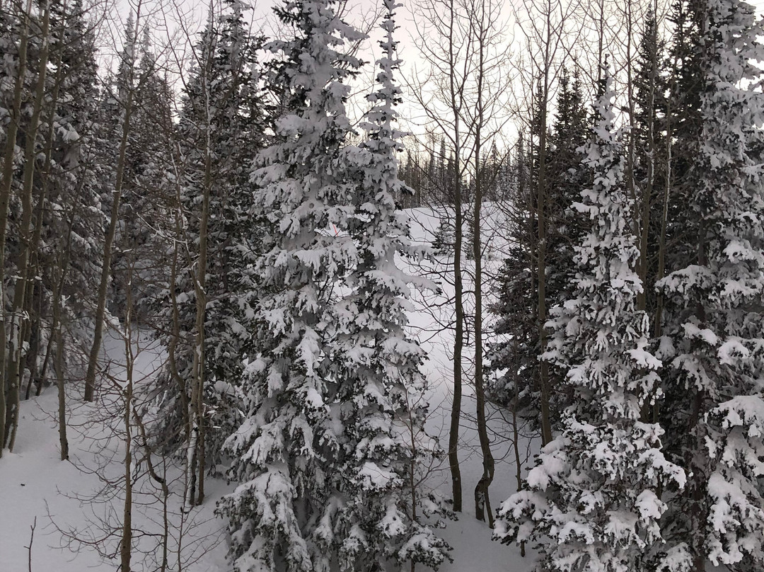 Georg's Ski Shop-布里安赫德必去景点