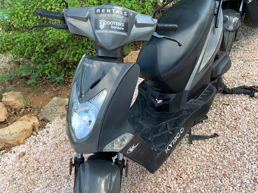 Scooters Bonaire-Kralendijk必去景点