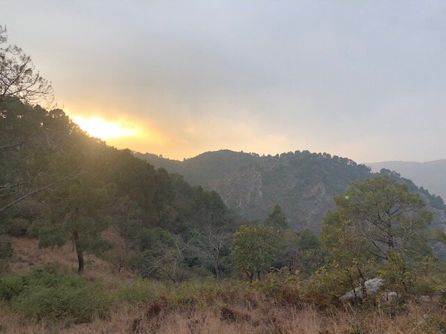 Margalla Hills-伊斯兰堡必去景点