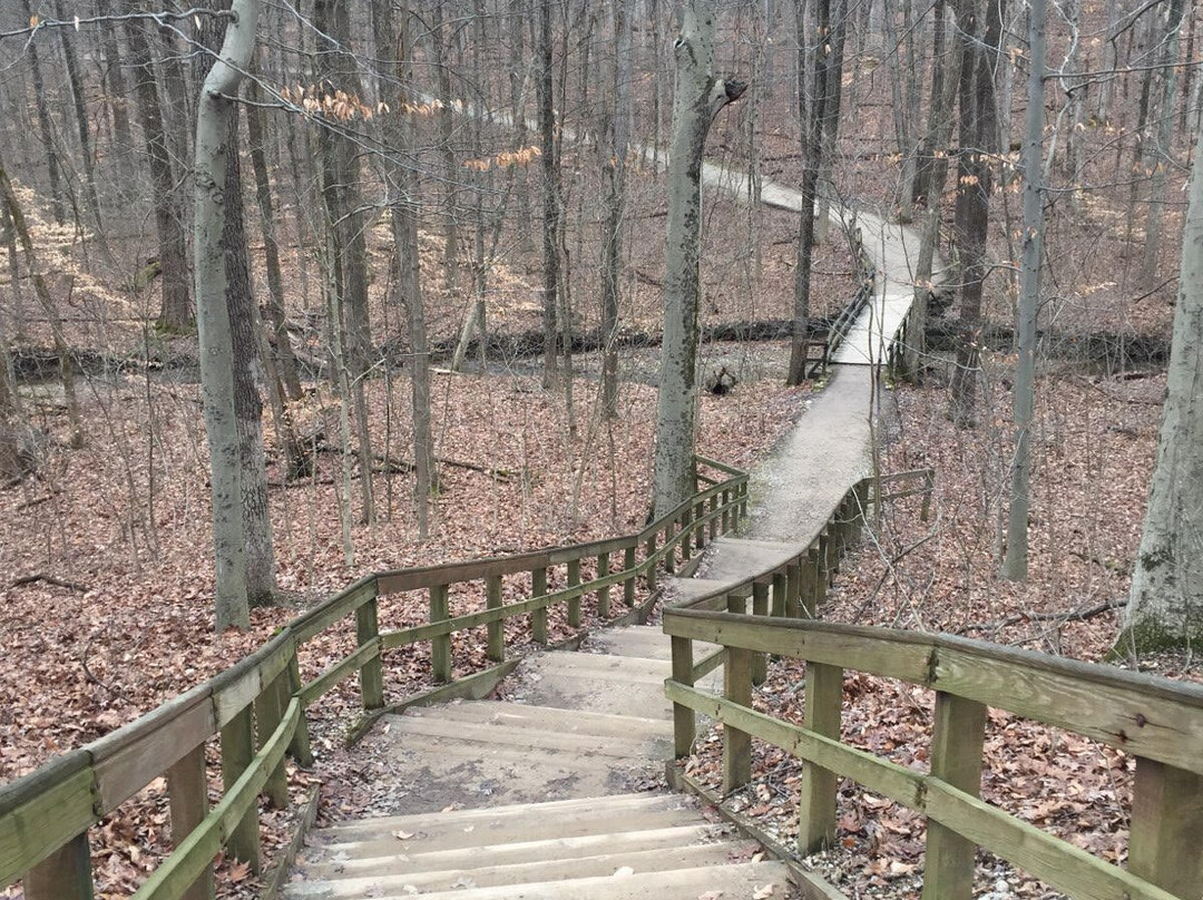 Blendon Woods Park-韦斯特维尔必去景点