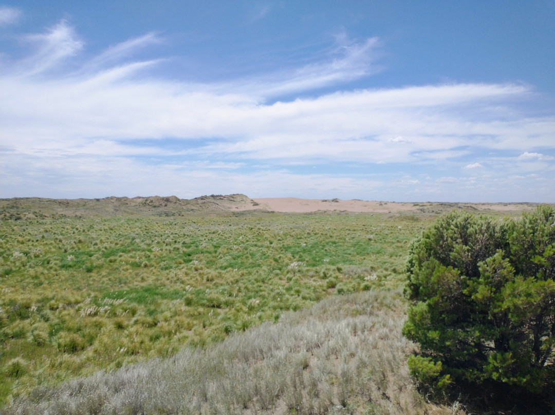 Reserva Natural Pehuen Co - Monte Hermoso-Monte Hermoso必去景点