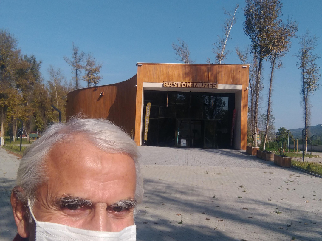 Baston Müzesi景点图片
