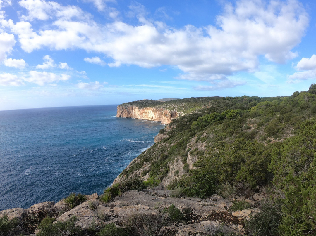 TrekZone di Pietro Fiori-阿尔盖罗必去景点