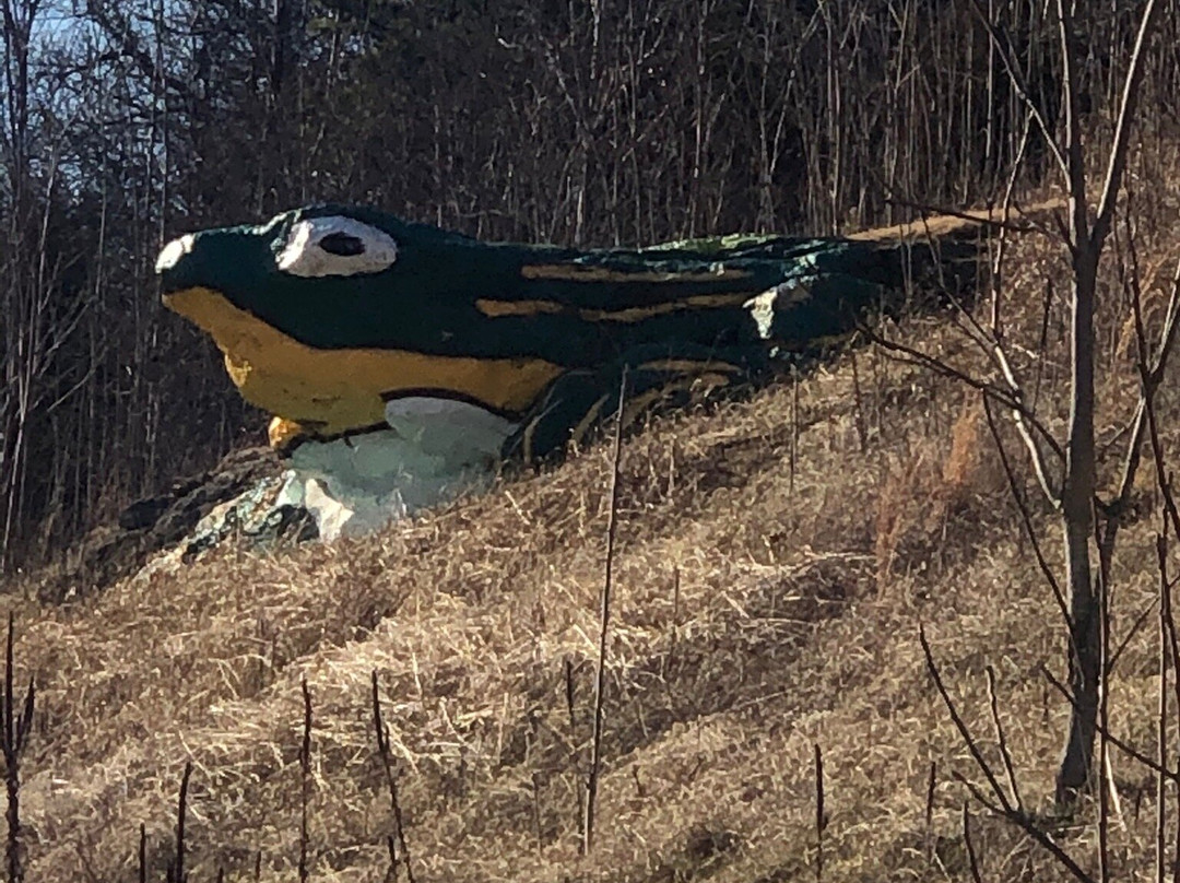 Frog Rock-Waynesville必去景点