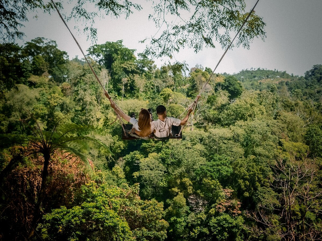 Wanagiri Hidden Valley Waterfalls & Adventure景点图片