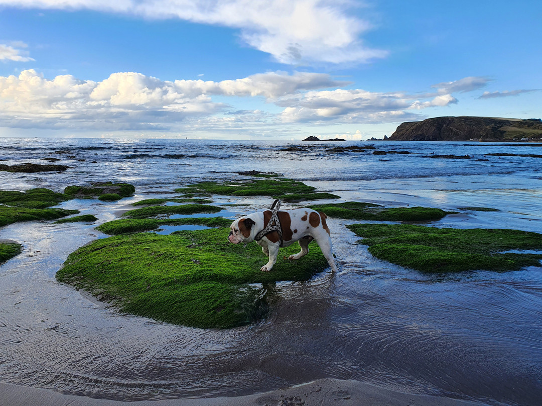 Gardenstown Beach-Gardenstown必去景点