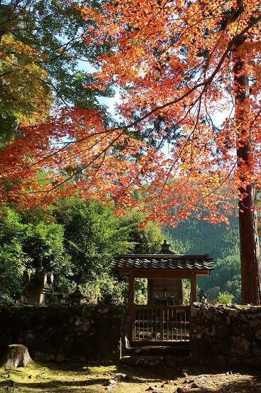 高山寺景点图片