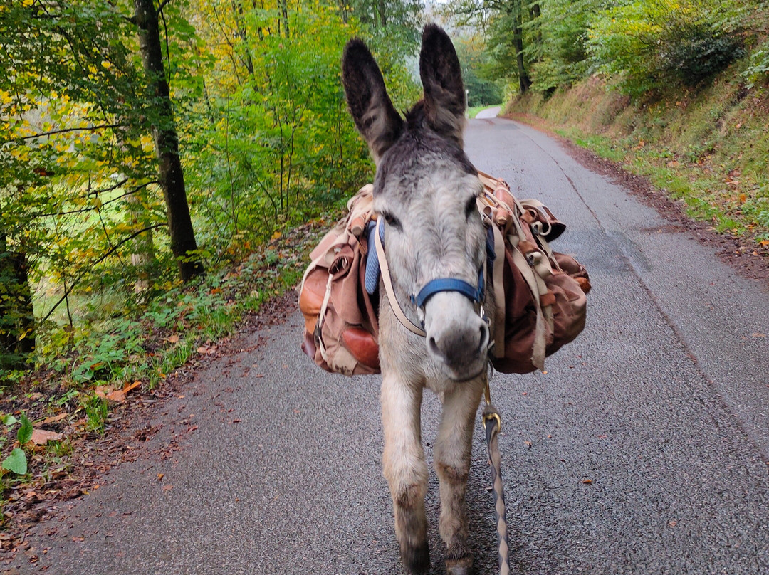 Eselwandern Pfalz-Eppenbrunn必去景点