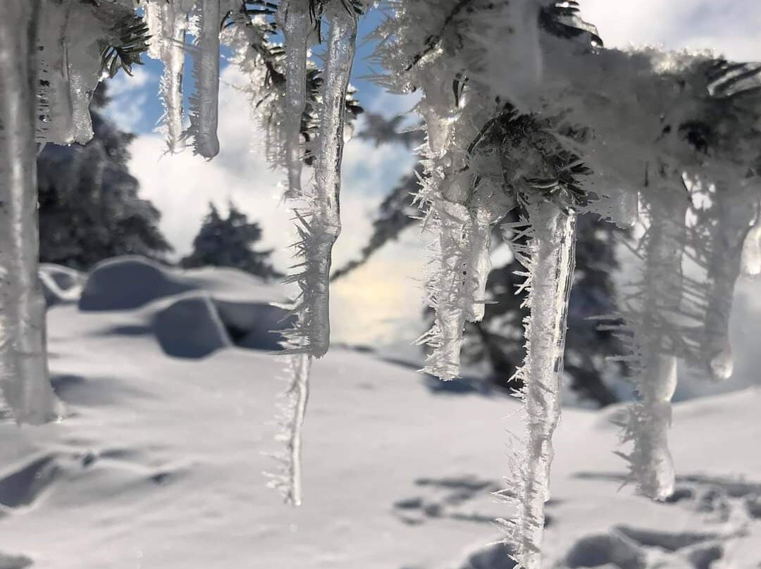 Mount Ainos National Park-凯法利尼亚岛必去景点