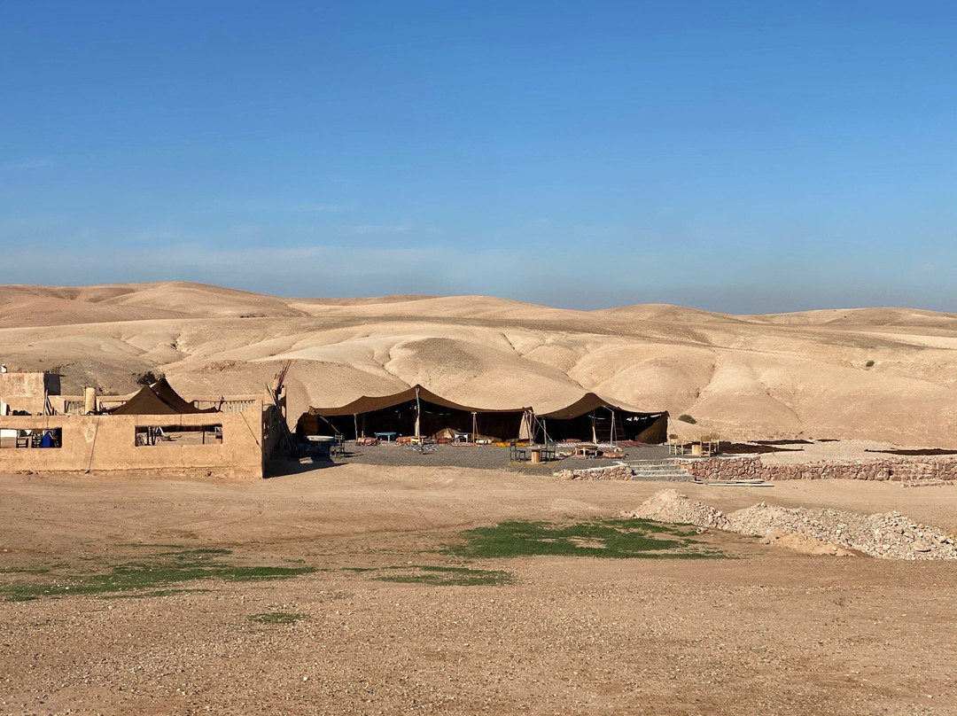 Dunes & Desert景点图片